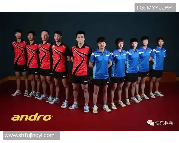赛后分析：上海乒乓球队与南京乒乓球队的实力对比与战术探讨